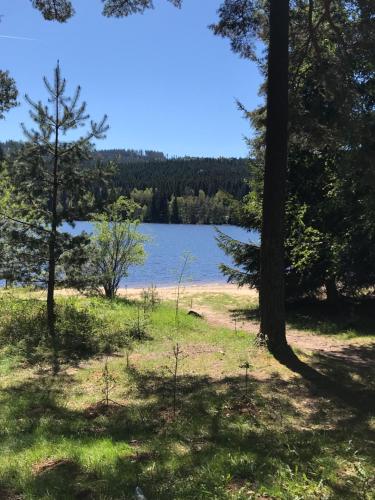 Rodinne ubytovani Krauskopfovi in Lipno nad Vltavou Rodinne ubytovani Krauskopfovi in Lipno nad Vltavou