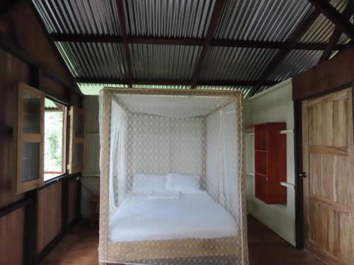La Mariola - Finca Agroecológica (La Mariola - Finca Agroecologica) in 卡斯蒂略德拉康塞普西翁 La Mariola - Finca Agroecológica (La Mariola - Finca Agroecologica) in 卡斯蒂略德拉康塞普西翁