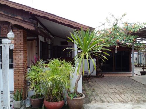 บ้านอนัตตา in Saraphi บ้านอนัตตา in Saraphi