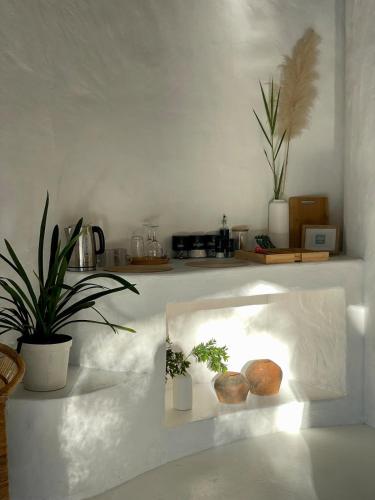Hot spring tiny home in Limpopo in Naboomspruit Hot spring tiny home in Limpopo in Naboomspruit