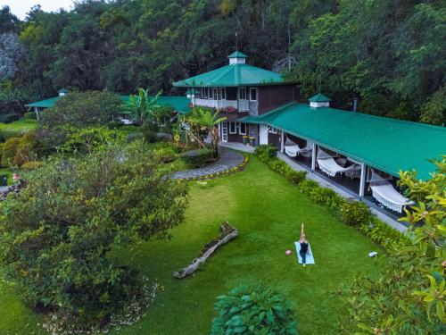 Jardin, Hotel Finca Lerida Coffee Plantation and Boutique Hotel in Los Naranjos Jardin, Hotel Finca Lerida Coffee Plantation and Boutique Hotel in Los Naranjos