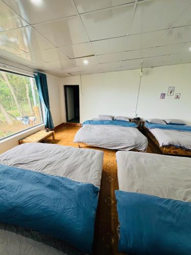 Thanh Binh Homestay Khu 37 Ho Mang Đen in Kon Von Kle Thanh Binh Homestay Khu 37 Ho Mang Đen in Kon Von Kle