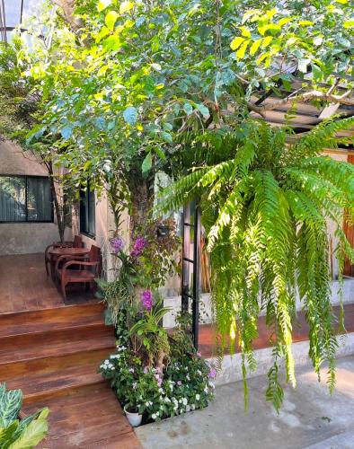 บ้านพักบุหงา199 อ สรรพยา in Chai Nat บ้านพักบุหงา199 อ สรรพยา in Chai Nat