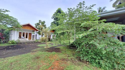 Jardí, Tangkoko Hideaway Cottage in Rinondoran Jardí, Tangkoko Hideaway Cottage in Rinondoran