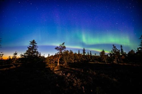 Kaira 27, kahden makuuhuoneen mokki Syotteella kalaisan tunturilammen, polkupyorareitin seka lukuist in Syote Kaira 27, kahden makuuhuoneen mokki Syotteella kalaisan tunturilammen, polkupyorareitin seka lukuist in Syote