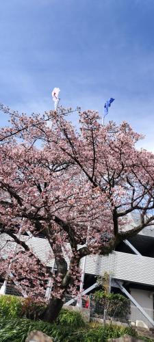 ゴンドラヴィラ イン熱海HakoneAtamiYugawara near Himenosawa Park ゴンドラヴィラ イン熱海HakoneAtamiYugawara near Himenosawa Park
