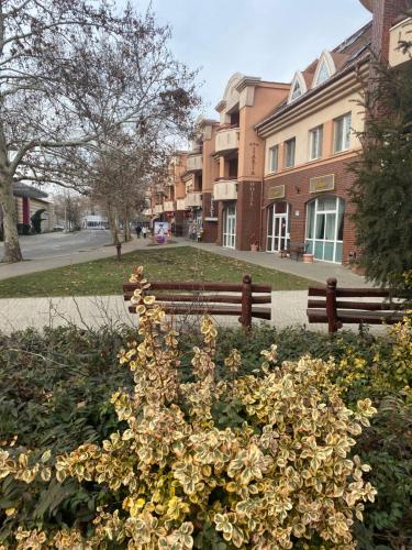 Strand Apartman Hajdúszoboszló (Strand Apartman Hajduszoboszlo) in Hajduszoboszlo Strand Apartman Hajdúszoboszló (Strand Apartman Hajduszoboszlo) in Hajduszoboszlo
