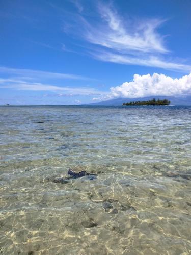 bungalow vue lagon 180 degré, la maison bleue (bungalow vue lagon 180 degre, la maison bleue) in Moorea Island bungalow vue lagon 180 degré, la maison bleue (bungalow vue lagon 180 degre, la maison bleue) in Moorea Island
