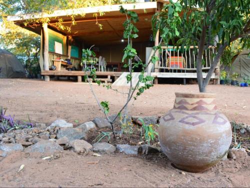 外観, Nxabii Cottages in カサネ 外観, Nxabii Cottages in カサネ