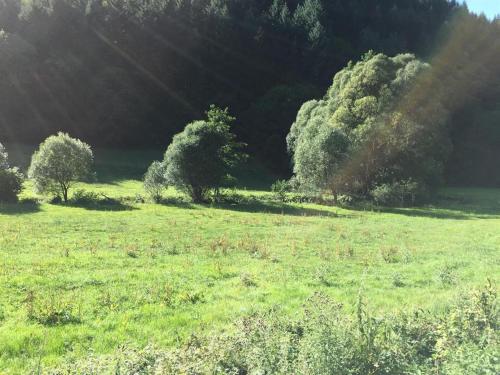 周邊環境, Ferienwohnung Schwitalla in 阿爾布魯克 周邊環境, Ferienwohnung Schwitalla in 阿爾布魯克