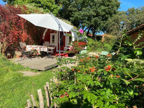 Fuchsbau in Walsrode Fuchsbau in Walsrode