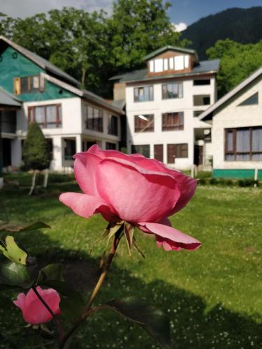 The K2 Alpine in Pahalgam The K2 Alpine in Pahalgam