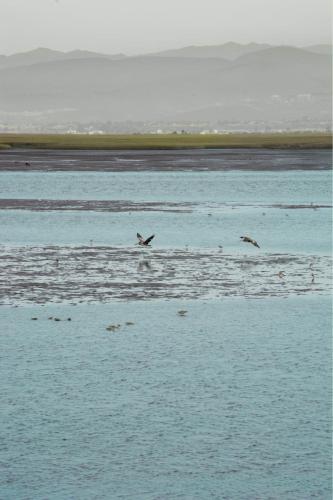 Cabana frente al mar in Lengueta Arenosa Cabana frente al mar in Lengueta Arenosa