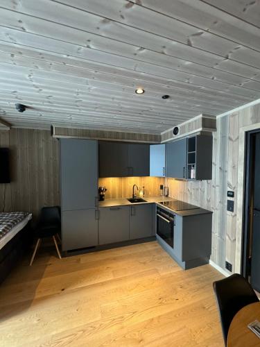 New! Apartment Fjellandsbyen Hemsedal Ski&bike in Hemsedal New! Apartment Fjellandsbyen Hemsedal Ski&bike in Hemsedal