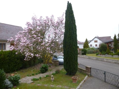 Entrada, Jardin Fleuri in Lingolsheim Entrada, Jardin Fleuri in Lingolsheim