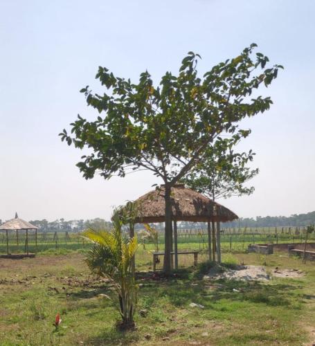 Smart Villey Resort & Residencial Park in Hooghly Smart Villey Resort & Residencial Park in Hooghly