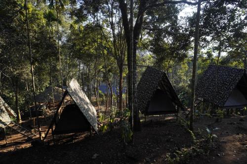 A szálláshely kívülről, Camptop Munnar in Kallar Vattiyar A szálláshely kívülről, Camptop Munnar in Kallar Vattiyar