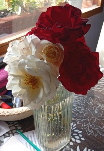 El Cardiel in 고베르나도르 그레고레스 El Cardiel in 고베르나도르 그레고레스