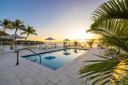 Pines & Palms Resort in 伊斯拉莫拉達 (FL) Pines & Palms Resort in 伊斯拉莫拉達 (FL)