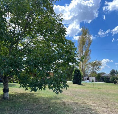 Casa estilo campo con parque y pileta in Tandil Casa estilo campo con parque y pileta in Tandil