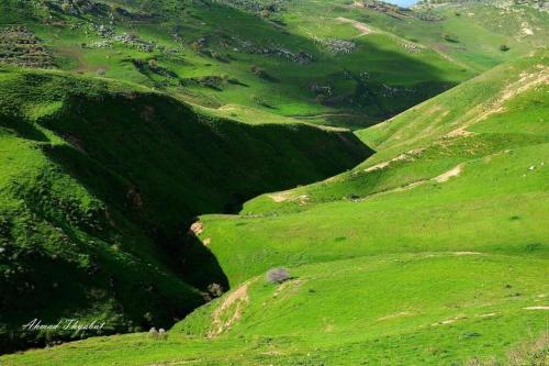 مخيم واستراحة البيارق أم النمل خربة دير العسل (مخيم واستراحة البيارق أم النمل خربة دير العسل) in 타브켓 파헬 مخيم واستراحة البيارق أم النمل خربة دير العسل (مخيم واستراحة البيارق أم النمل خربة دير العسل) in 타브켓 파헬