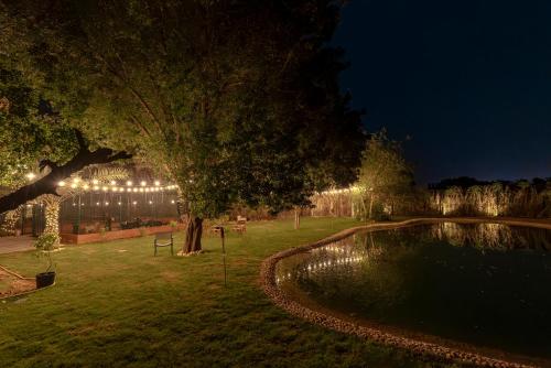 Garden, Greenland Farm in Jumeirah Garden, Greenland Farm in Jumeirah