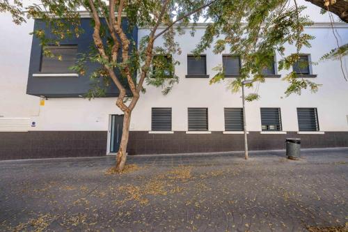 ทางเข้า, BF Rooms Almeria Centro in กลางเมืองอัลเมเรีย ทางเข้า, BF Rooms Almeria Centro in กลางเมืองอัลเมเรีย