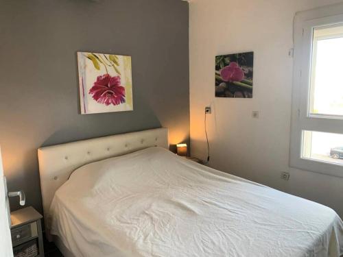 Résidence Port Nature Colline 5 - Studio pour 2 personnes numéro 529 - Naturiste