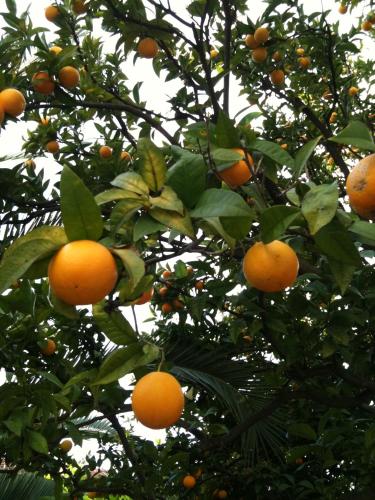 This photo about Hotel Villa Les Cygnes shared on HyHotel.com