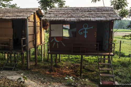 Pemsee's Tree Town - Eco-friendly,Tree house hostel in Chitwan Pemsee's Tree Town - Eco-friendly,Tree house hostel in Chitwan