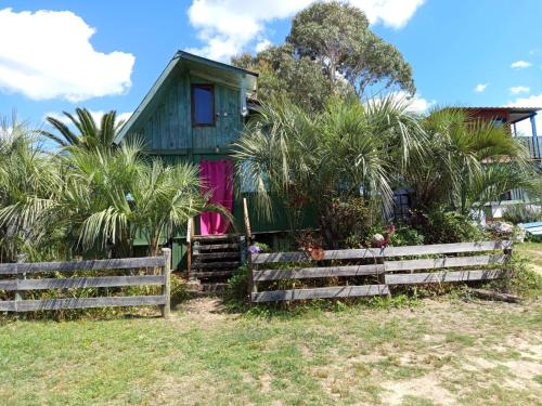 Biodiversidad in La Pedrera Biodiversidad in La Pedrera