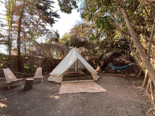 Glamping El Arbol - Naturaleza y Mar in La Serena Glamping El Arbol - Naturaleza y Mar in La Serena