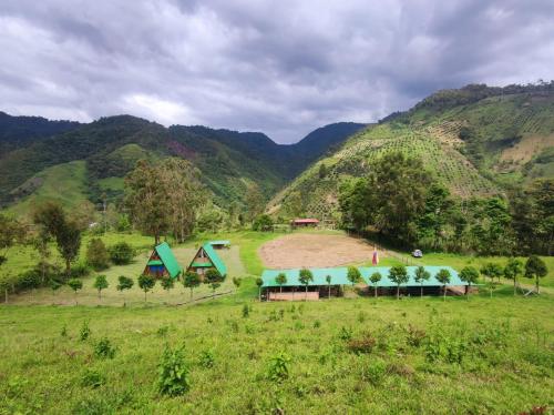 A környék, Finca Vegonia Arqueológica (Finca Vegonia Arqueologica) in San Agustin A környék, Finca Vegonia Arqueológica (Finca Vegonia Arqueologica) in San Agustin