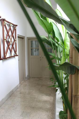 Ijen Haus in Banyuwangi Ijen Haus in Banyuwangi