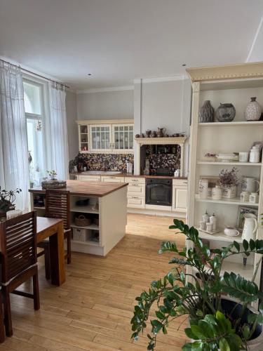 مطبخ, Vila Anna in Libechov مطبخ, Vila Anna in Libechov