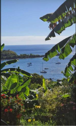 Alentours, Issa Blue Appartement Vue sur Mer in Bouillante Alentours, Issa Blue Appartement Vue sur Mer in Bouillante