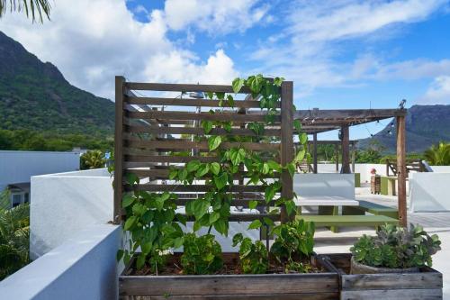 Loukaz -entire Rental Units W Panoramic Rooftop in La Gaulette Loukaz -entire Rental Units W Panoramic Rooftop in La Gaulette