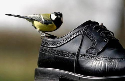 Grand studio 40 m2 , CONFORT ,lumineux, calme, agréable , 2 personnes