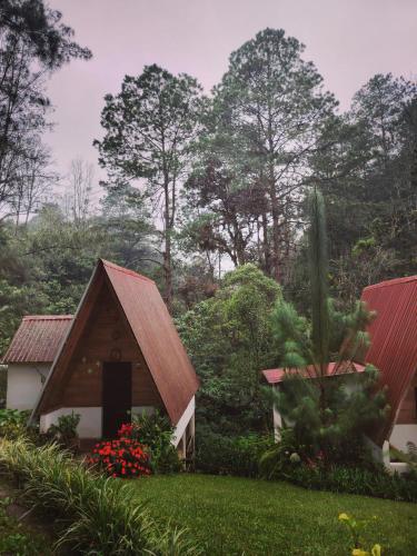 Samantha hotel campestre in 산타 크루스 베라파스 Samantha hotel campestre in 산타 크루스 베라파스