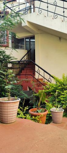 Magic mountain in Yercaud Magic mountain in Yercaud