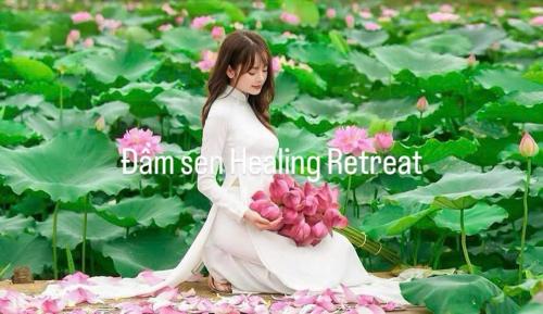 Đam Sen Homestay Retreat in Thach That District Đam Sen Homestay Retreat in Thach That District