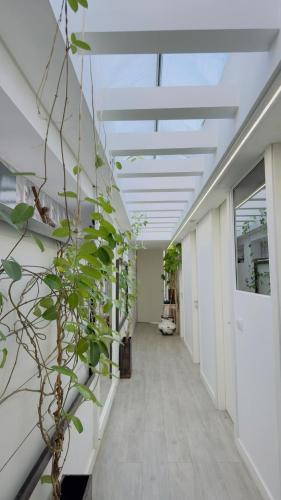 Casa LOS PADEL - Vitorino dos Piães (Casa LOS PADEL - Vitorino dos Piaes) in บาลูเกส Casa LOS PADEL - Vitorino dos Piães (Casa LOS PADEL - Vitorino dos Piaes) in บาลูเกส