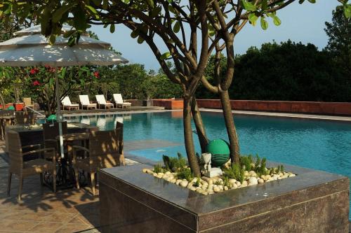 Svømmebasseng, Taj Chandigarh in Chandigarh Svømmebasseng, Taj Chandigarh in Chandigarh