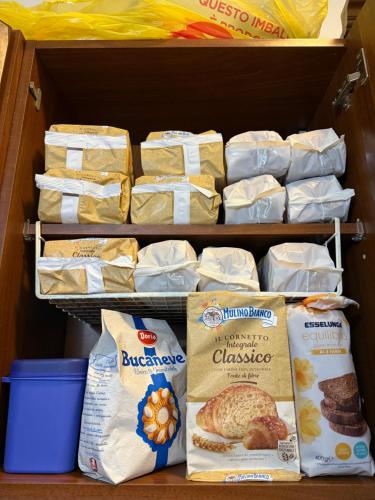 My Friends in Φλωρεντία My Friends in Φλωρεντία