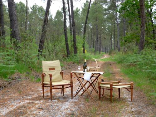 Garden, Ecolodge in Sequoia with terrace in Sos Garden, Ecolodge in Sequoia with terrace in Sos