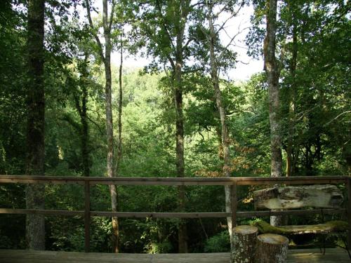 Surrounding environment, Ecolodge in Sequoia with terrace in Sos Surrounding environment, Ecolodge in Sequoia with terrace in Sos