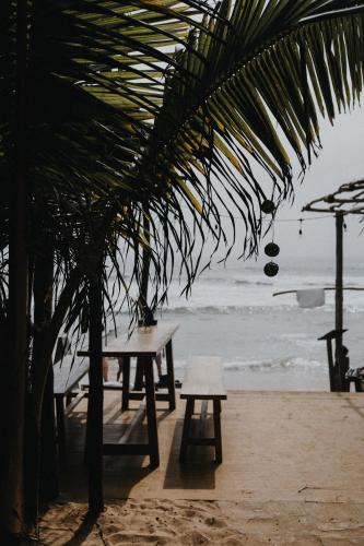 Beach, Amaroo Hikkaduwa in Hikkaduwa Beach, Amaroo Hikkaduwa in Hikkaduwa