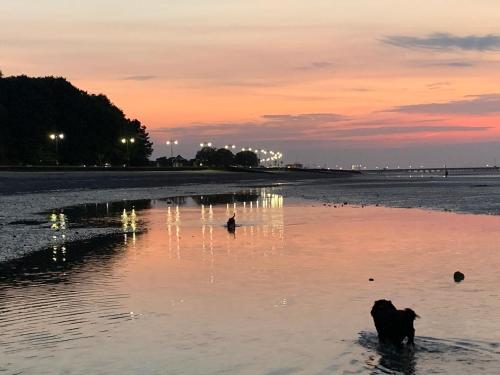 strand, Dog Friendly Apartment with Sea Views in Ryde North East strand, Dog Friendly Apartment with Sea Views in Ryde North East
