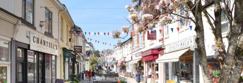 South Devon Holiday Retreat - Entire House - Family & Pet Friendly in Babbacombe South Devon Holiday Retreat - Entire House - Family & Pet Friendly in Babbacombe