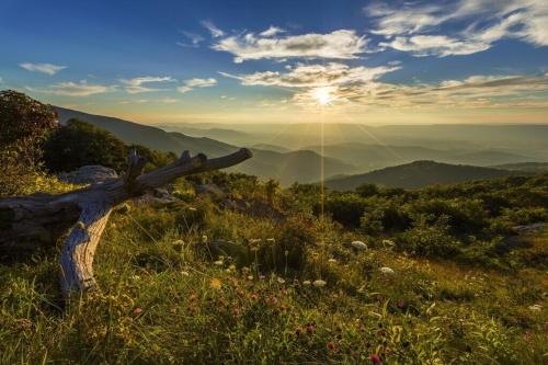 Mountain Whispers Harrisonburg JMU Shenandoah National Park in 사우스 해리슨버그 Mountain Whispers Harrisonburg JMU Shenandoah National Park in 사우스 해리슨버그